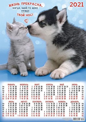 Листовой календарь на 2021 год А2 "Кошка и собака"