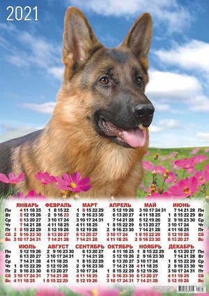 Листовой календарь на 2021 год А2 "Собаки"