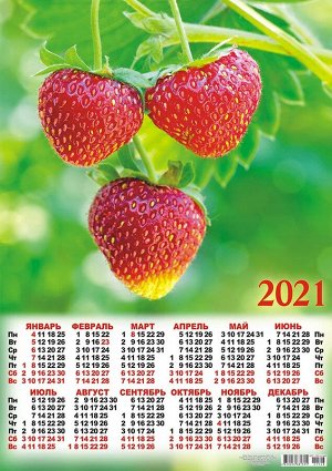 Листовой календарь на 2021 год А2 "Грибы и ягоды"
