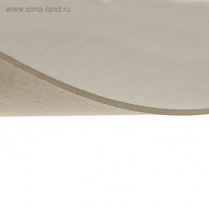 Картон переплетный 2.5 мм, 21 х 30 см, 10 листов, 1500 г/м?, серый