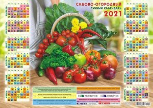 Листовой календарь на 2021 год А2 "Садово-Огородный"