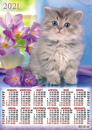 Листовой календарь на 2021 год А2 "Кошки"