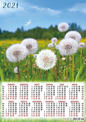 Листовой календарь на 2021 год А2 "Полевые цветы"