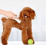 Машинка для стрижки животных Xiaomi Pet Haier Clippers Pawbby MG-HC001A