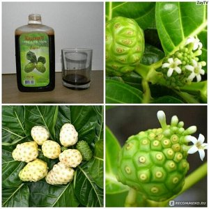 PIYASATREE Noni juse