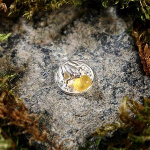 Брелок-талисман "Лягушка на монетке", натуральный янтарь, посеребрение
