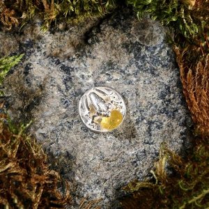 Брелок-талисман "Лягушка на монетке", натуральный янтарь, посеребрение