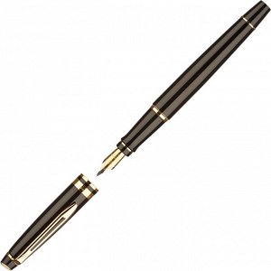 Ручка перьевая WATERMAN EXPERT S0951640 черн. корп, син чернила 0...