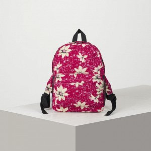 Рюкзак молодёжный, отдел на молнии, наружный карман, 2 боковые сетки, цвет малиновый