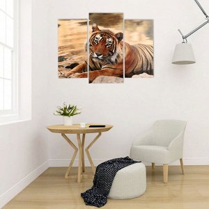 Модульная картина "Тигр у воды" (2-25х50, 30х60 см)  60х80 см