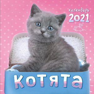 МАЛЫЙ перекидной настенный календарь на скрепке на 2021 год "Котята"