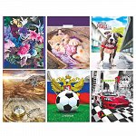 Дневник школьный, для старших классов, офсет 60г/м2, обложка твердая ламинированная (7БЦ) ДН-1