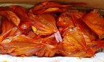 Красный окунь холодного копчения