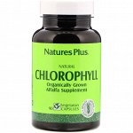 Nature&#039;s Plus, Натуральный хлорофилл, 90 растительных капсул
