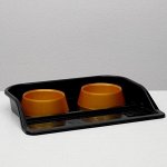 Миски с лотком &quot;Феликс&quot; 0,3 л, 41 x 30 x 6 см, черный лоток, коричневые миски
