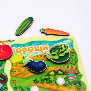Сортер «Какая разница?», Фрукты-овощи, 117203