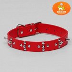 Ошейник из мягкой искусственной кожи с шипами и заклепками, 54 Х 2,5 см, микс цветов
