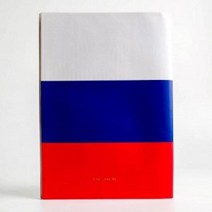 Папка для документов кожзам «Российская федерация. Семейные документы», 12 файлов, 4 комплекта