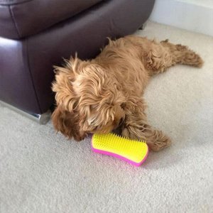 Расческа для животных (кошек и собак) Pet Teezer Detangling & Dog Grooming Brush Pink & Yellow