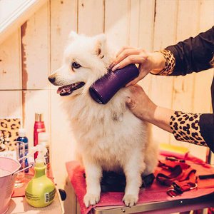 Расческа для животных (кошек и собак) Pet Teezer De-shedding & Dog Grooming Brush Purple & Grey