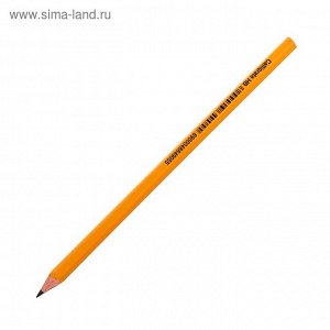 Карандаш чернографитный Calligrata HB пластик. оранжевый