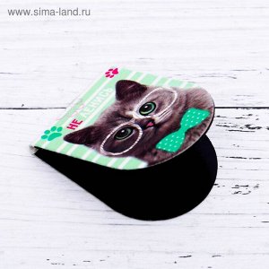 Art Fox Магнитные закладки на подложке &quot;&quot;Котики&quot;&quot;, 6 шт.