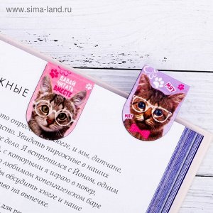 Art Fox Магнитные закладки на подложке &quot;&quot;Котики&quot;&quot;, 6 шт.
