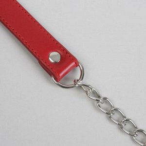 Ручка для сумки, с цепочками и карабинами, 120 ? 1,8 см, цвет бордовый