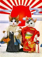 💓 Премиум товары для кошек и собак из Японии-3
