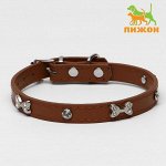 Ошейник &quot;Косточки и стразы&quot;, 38 х 1,5 см, коричневый