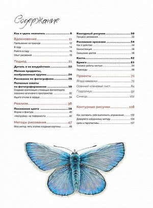 Волшебный мир Анны Мэйсон. Рисуем природу акварелью. Все секреты реалистичной живописи. Анна Мэйсон