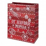 Бумажный пакет От Дедушки Мороза, 17.8Х22.9Х9.8
