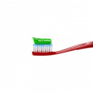 Зубная паста Splat Professional «Лечебные травы», 100 г