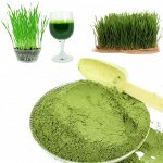 П22. Витграсс Премиум, молотые ростки, (Wheat Grass Premium sprouts milled) крафт дойпак 100 г