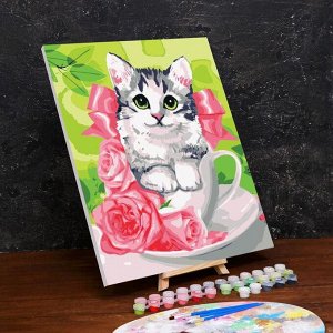 Картина по номерам на холсте с подрамником «Котёнок в чашке» 40?50 см