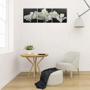 Картина модульная на подрамнике "Белое соцветие" 3 шт. 50х50 см;  50х150 см
