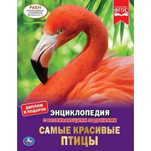 978-5-506-04304-1 "УМКА". САМЫЕ КРАСИВЫЕ ПТИЦЫ (ЭНЦИКЛОПЕДИЯ А4 С РАЗВИВАЮЩИМИ ЗАДАНИЯМИ). ТВЕРДЫЙ ПЕРЕПЛЕТ в кор.15шт