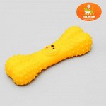 Игрушка пищащая &quot;Веселая кость&quot; для собак, 15 см, микс цветов