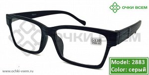 Корригирующие очки Vizzini Без покрытия 2883* Серый