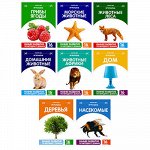 Игрушки и развитие для детей