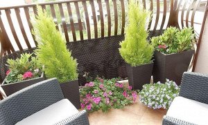 Кашпо Keter Rattan Planter S (коричневый), 23.6 л