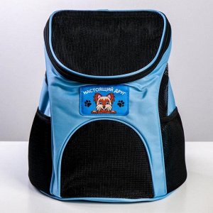 Рюкзак для переноски животных "Лучший друг" 31*23*30 см