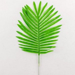 Лист зелени Пальма светло-зеленый 45см