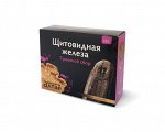 Травяной сбор &quot;Щитовидная железа&quot;, 100г