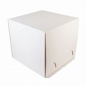 Коробка для торта 24*24*26 см, без окна (самолет), 50 шт