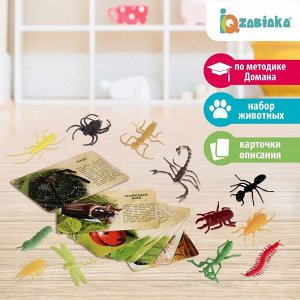 Набор животныx с обучающими карточками «В мире насекомыx», животные пластик, карточки, по методике Монтессори