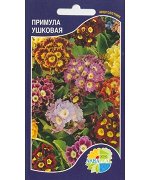 Цветы