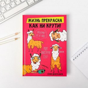 Ежедневник "Жизнь прекрасна, как ни крути!", твёрдая обложка, А5, 160 листов