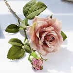 Цветы как живые