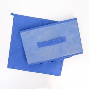 Короб для хранения «Фабьен», 29x29x18 см, цвет синий
